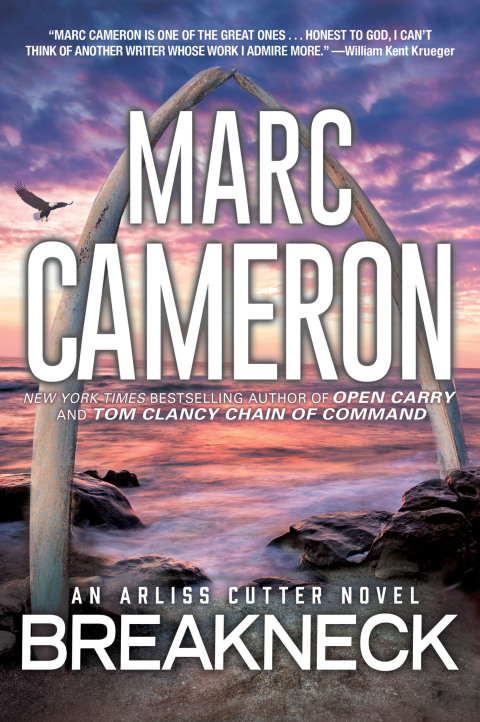 Cover image for book Breakneck