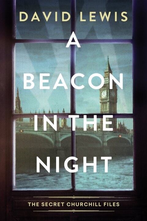 Cover image for book A Beacon in the Night