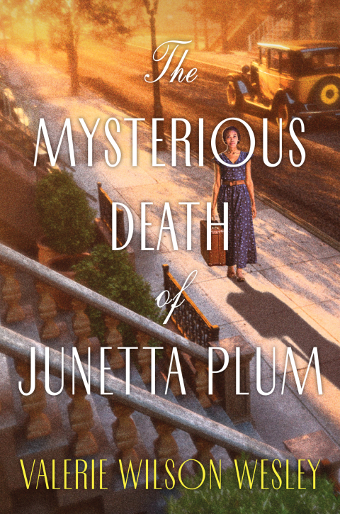 Cover image for book The Mysterious Death of Junetta Plum