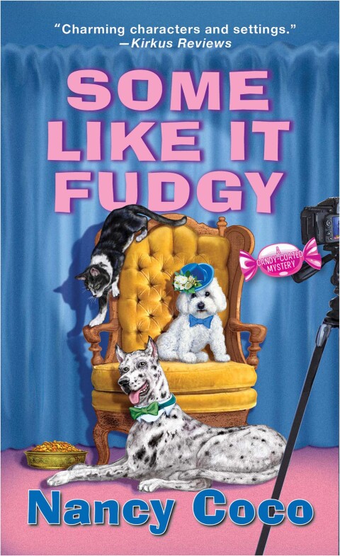 Cover image for book Some Like It Fudgy