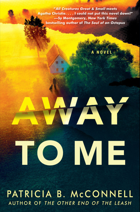 Cover image for book Away to Me