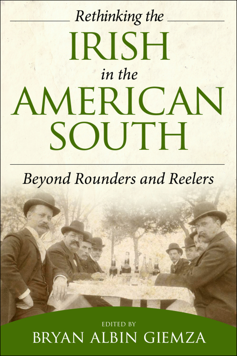 Cover image for book Rethinking the Irish in the American South