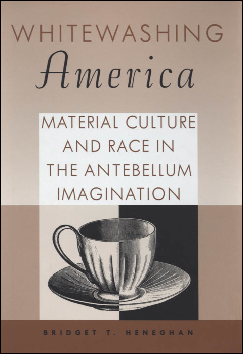 Cover image for book Whitewashing America