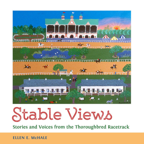 Cover image for book Stable Views