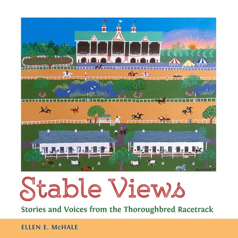 Cover image for book Stable Views