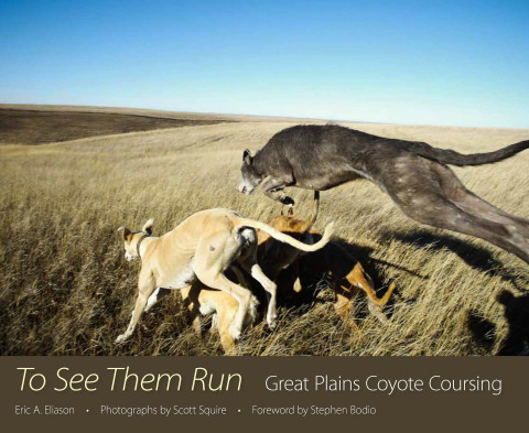 Cover image for book To See Them Run