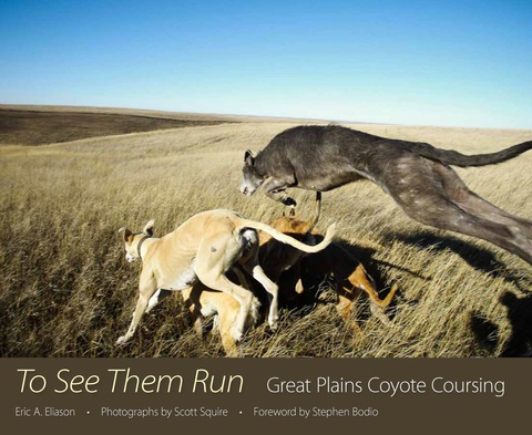Cover image for book To See Them Run