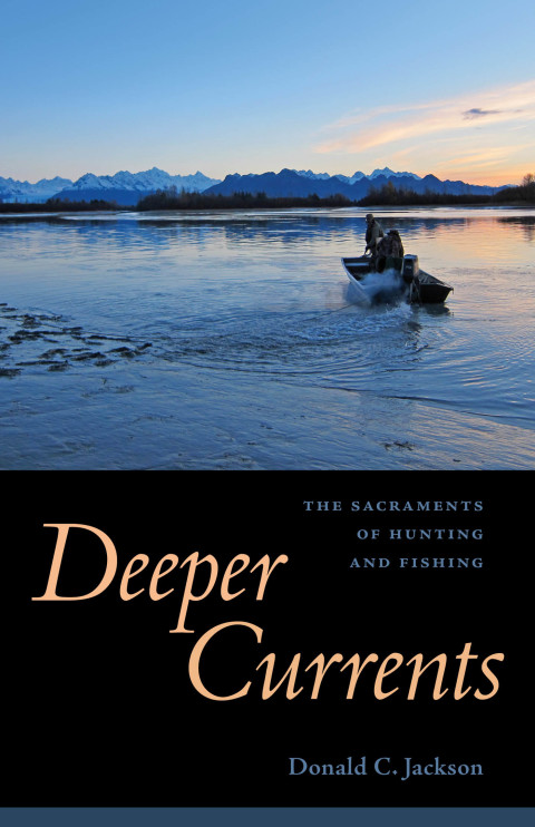 Cover image for book Deeper Currents