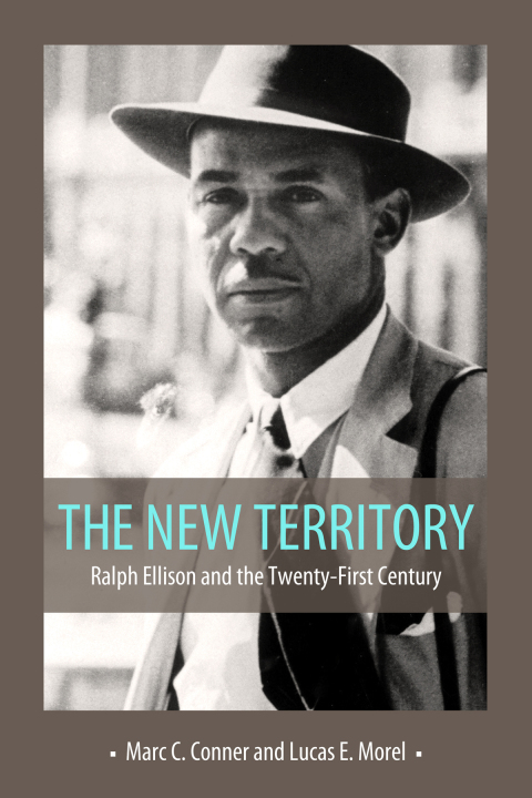 Cover image for book The New Territory