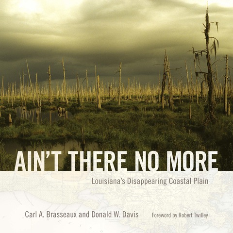 Cover image for book Ain't There No More