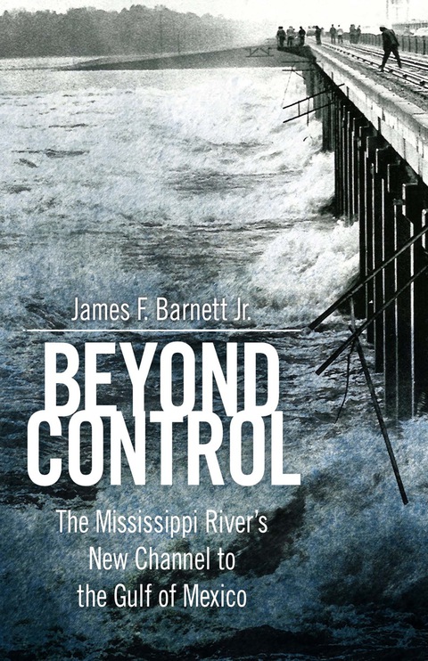 Cover image for book Beyond Control