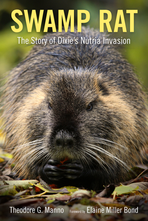 Cover image for book Swamp Rat