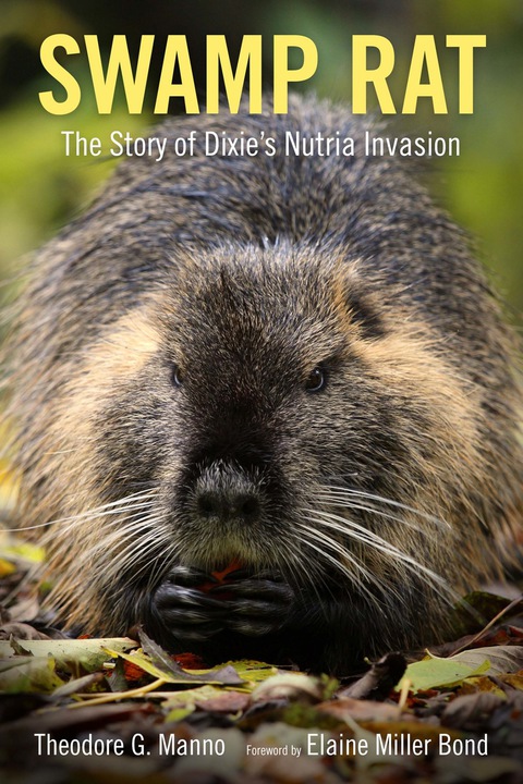 Cover image for book Swamp Rat