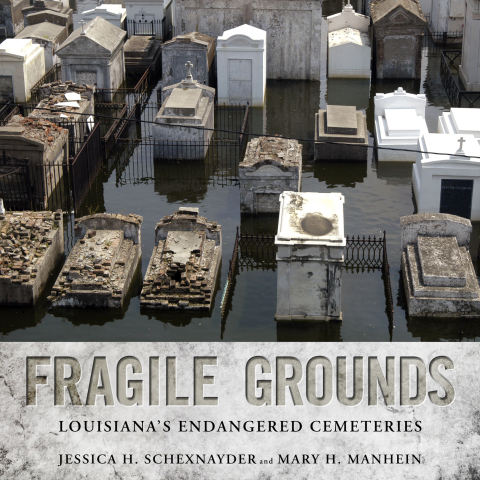 Cover image for book Fragile Grounds