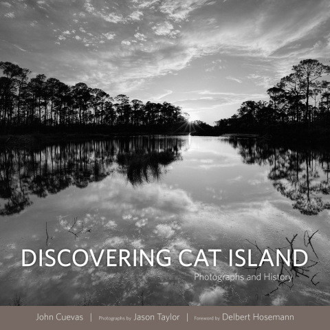 Cover image for book Discovering Cat Island