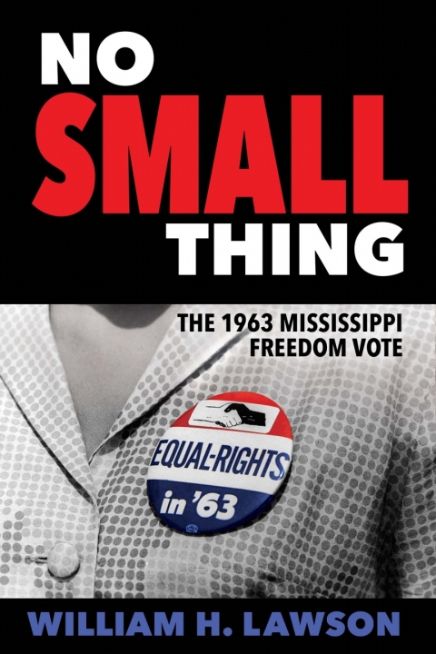 Cover image for book No Small Thing