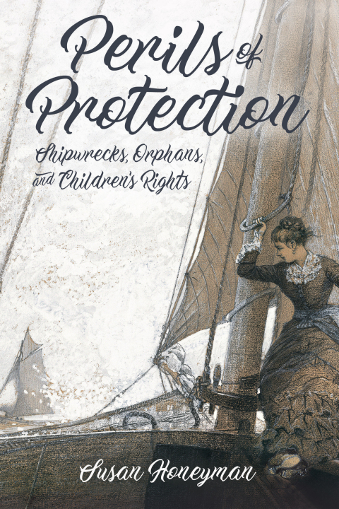 Cover image for book Perils of Protection