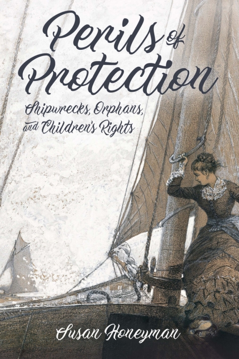 Cover image for book Perils of Protection