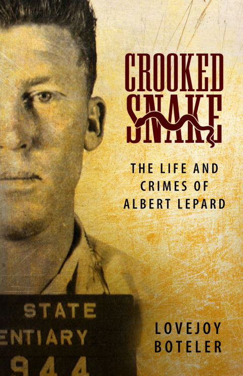 Cover image for book Crooked Snake