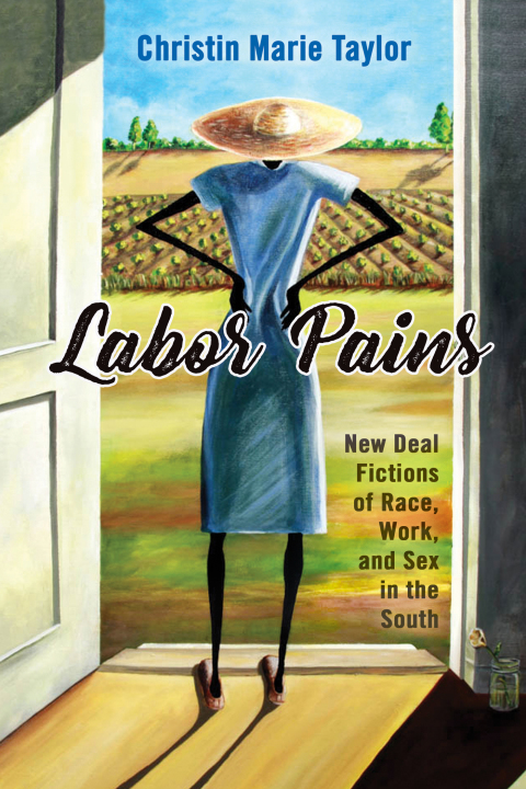 Cover image for book Labor Pains