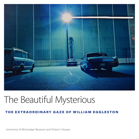 Cover image for book The Beautiful Mysterious