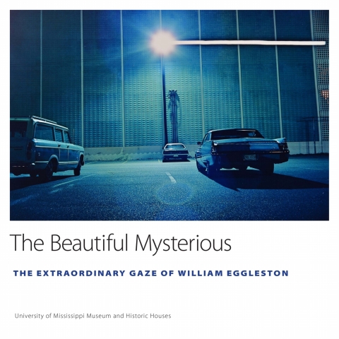 Cover image for book The Beautiful Mysterious