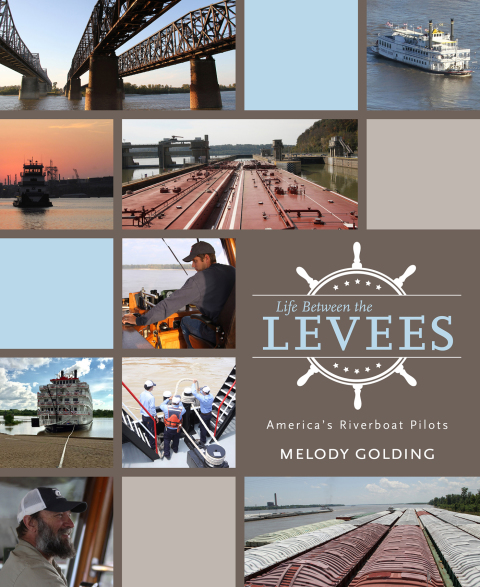 Cover image for book Life Between the Levees