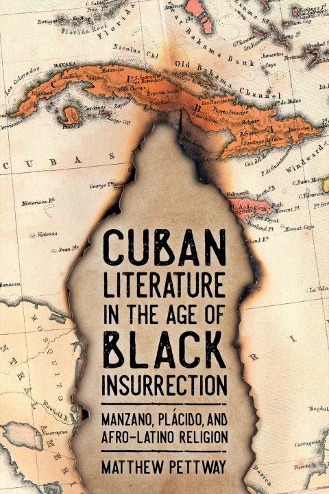 Cover image for book Cuban Literature in the Age of Black Insurrection