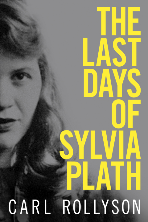Cover image for book The Last Days of Sylvia Plath