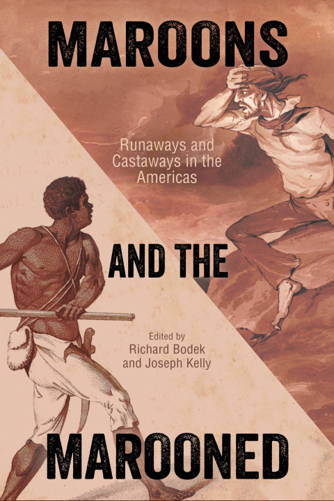 Cover image for book Maroons and the Marooned