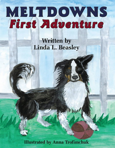 Cover image for book Meltdowns First Adventure