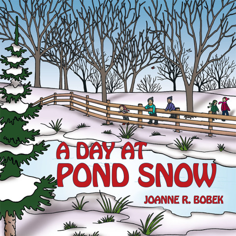 Cover image for book A Day at Pond Snow