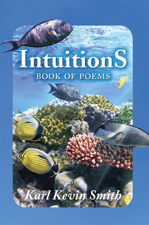 Cover image for book Intuitions