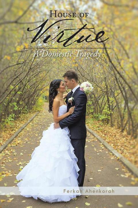 Cover image for book House of Virtue