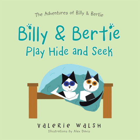 Cover image for book Billy & Bertie Play Hide and Seek