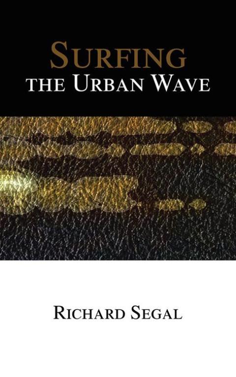 Cover image for book Surfing the Urban Wave