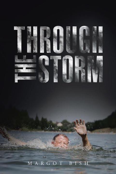 Cover image for book Through the Storm