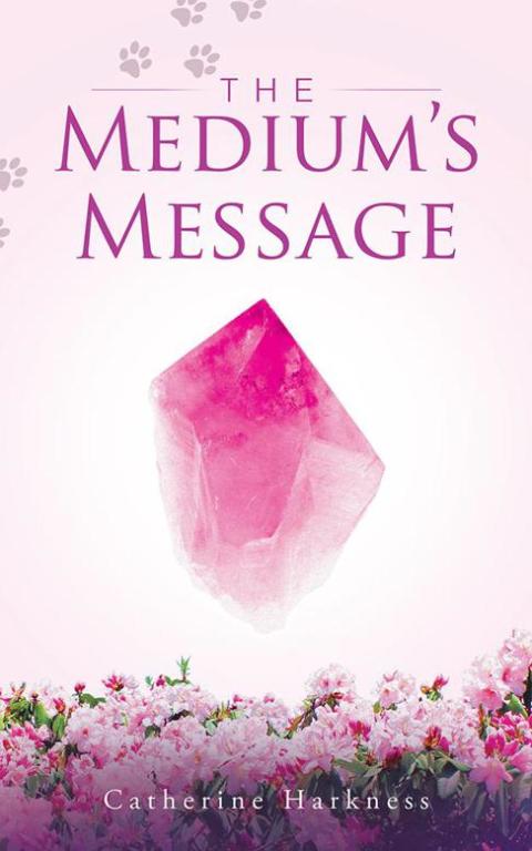 Cover image for book The Medium’S Message