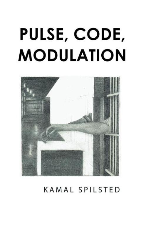 Cover image for book Pulse, Code, Modulation