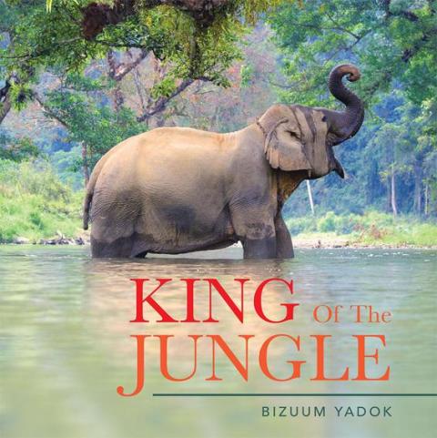 Cover image for book King of the Jungle