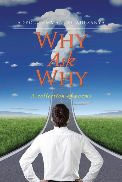 Cover image for book Why Ask Why