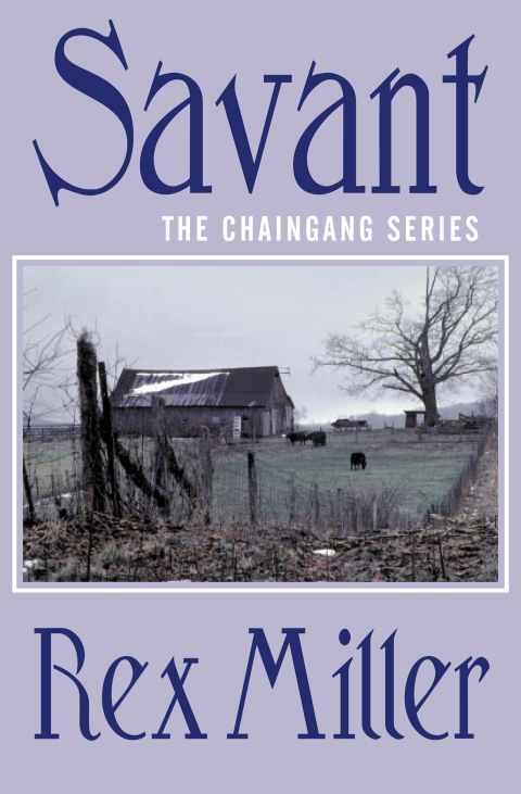 Cover image for book Savant