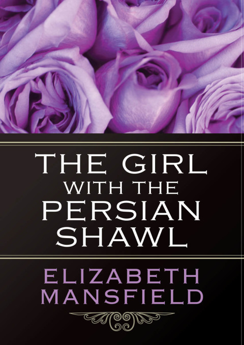 Cover image for book The Girl with the Persian Shawl