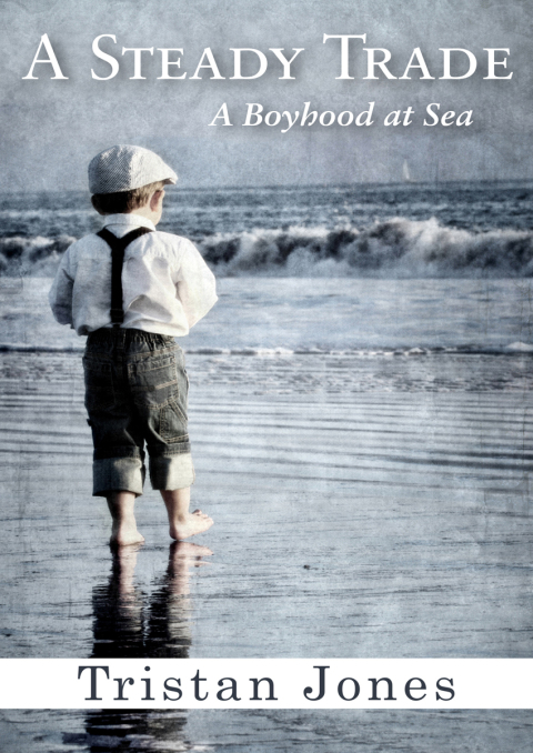 Cover image for book A Steady Trade