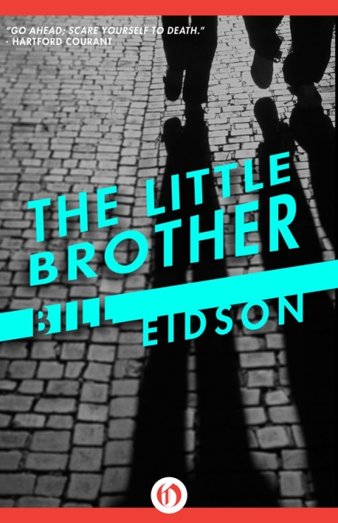 Cover image for book The Little Brother