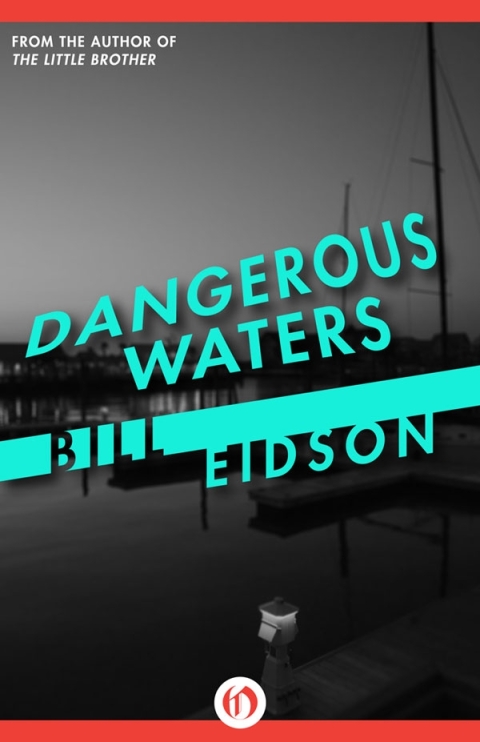 Cover image for book Dangerous Waters