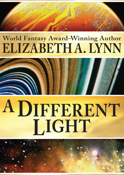 Cover image for book A Different Light