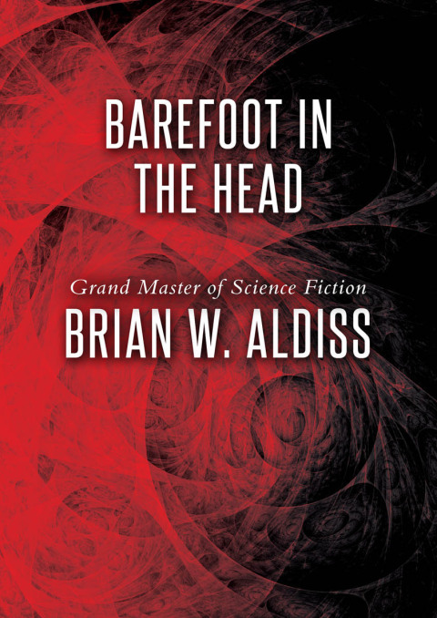 Cover image for book Barefoot in the Head