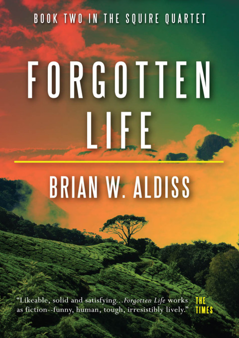 Cover image for book Forgotten Life