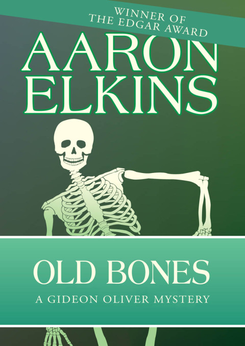 Cover image for book Old Bones